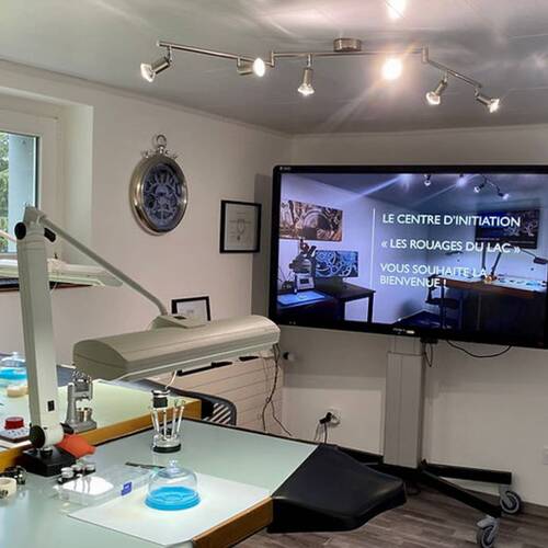 Les Rouages du Lac - découverte et initiation à l'horlogerie