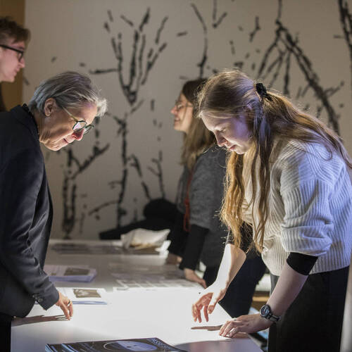 Description de l'image