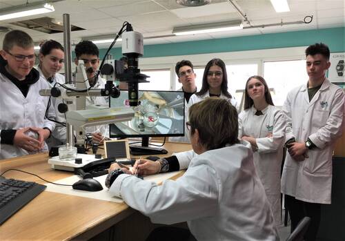 Ecoles et centres de formation